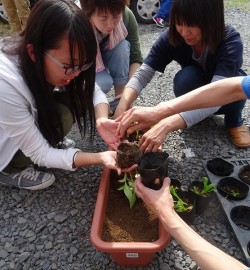 花いっぱいの学校へ✿　～植え替え編～