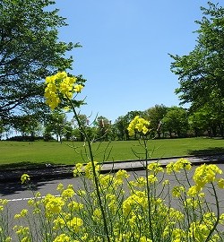 今年も恒例のレクキャンプ!!